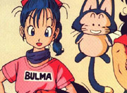 Bulma Dragon Ball Z Bulma Dragon Ball Z